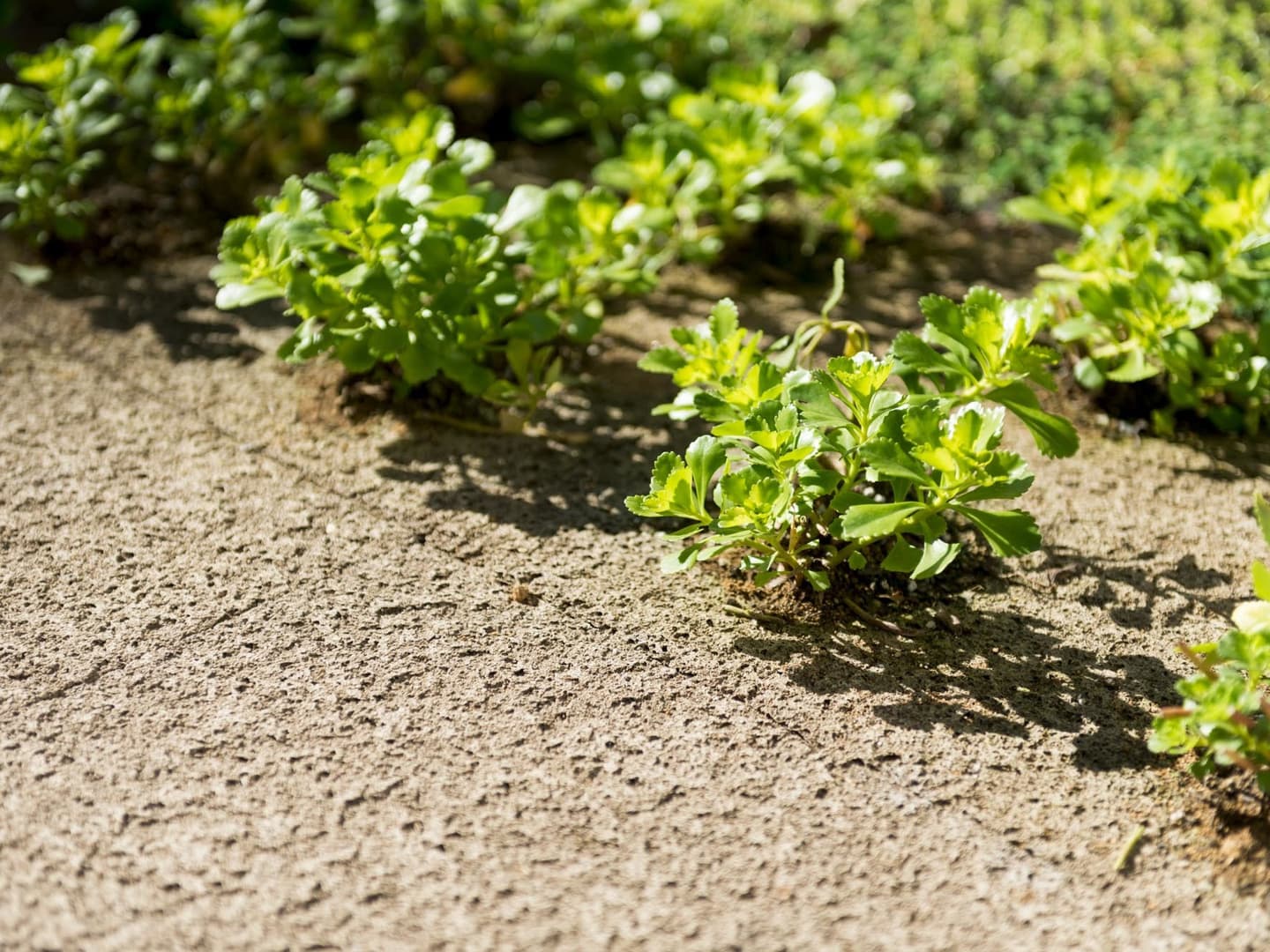 greenbiz イメージ画像