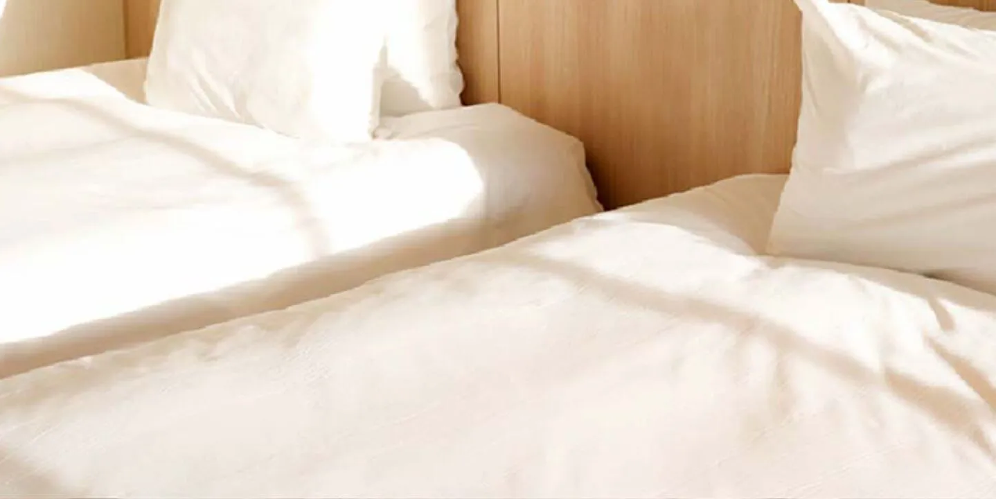 事業紹介 リビング